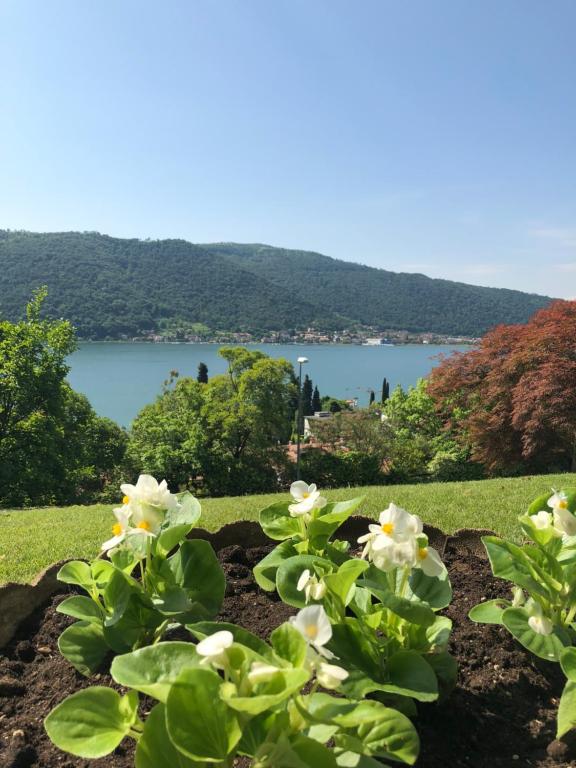 widok na jezioro z ogrodu w obiekcie Giuseppe B&B w mieście Sarnico