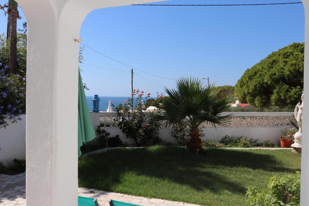 a view of a garden from a house with a palm tree at Casa Kelly in Carvoeiro