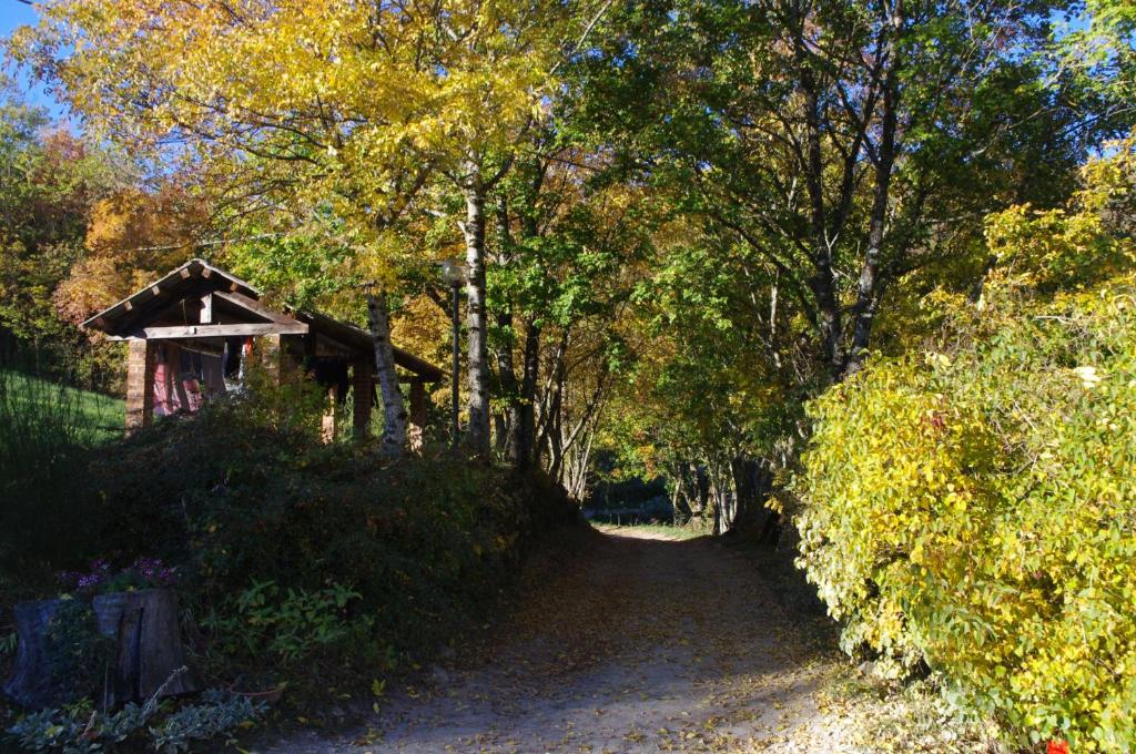 Przyroda w pobliżu tego obiektu B&B