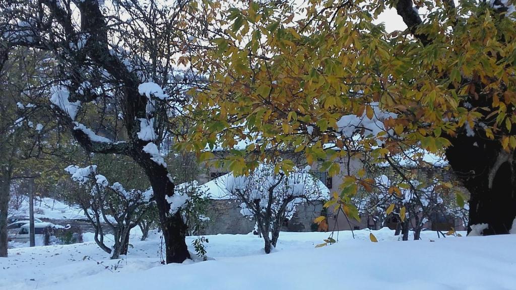 Obiekt Fattoria La Guedrara zimą