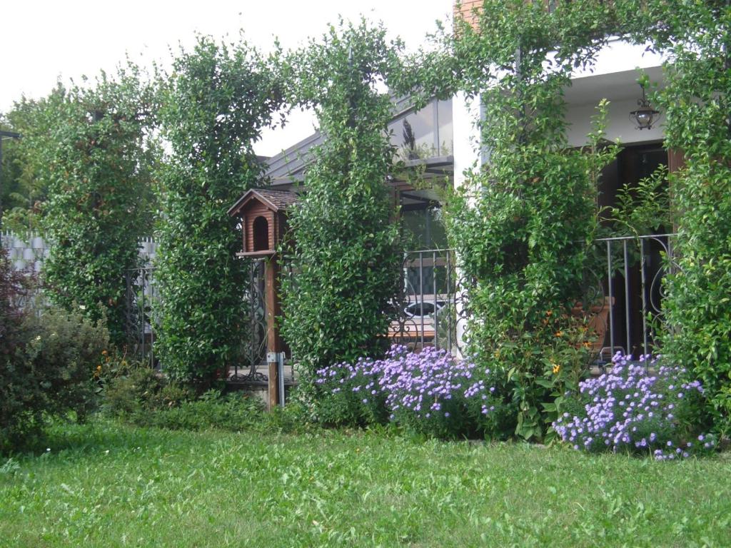 Zahrada ubytování B&B SCACCIA PENSIERI