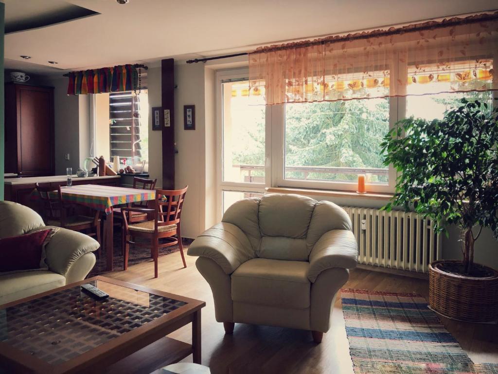 salon z krzesłem i stołem w obiekcie Apartmán Na sluneční stráni w Trutnovie