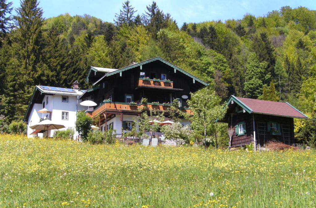 una casa sul fianco di una collina con un campo di Villa Aldefeld a Berchtesgaden