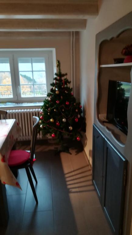 Kuchyň nebo kuchyňský kout v ubytování Gîte de Bellevue Maison Traditionnelle Vosgienne