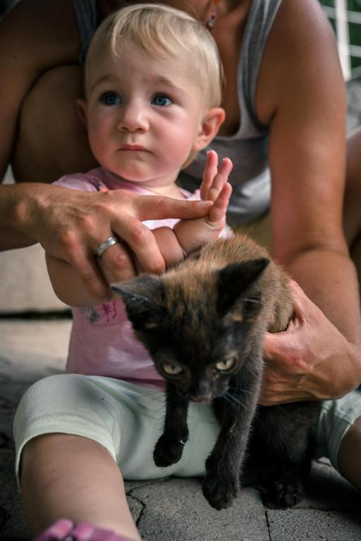 Domácí mazlíčci ubytovaní s hosty v ubytování Ferienparadies Hugenhof