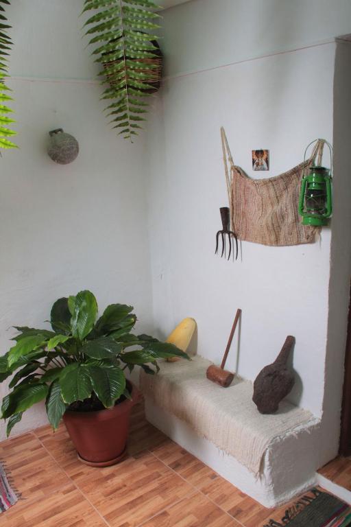 Fotografia z galérie ubytovania Vivienda Vacacional Sabinosa v destinácii Sabinosa