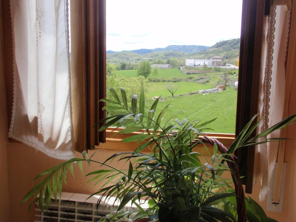 Příroda nedaleko hotelu