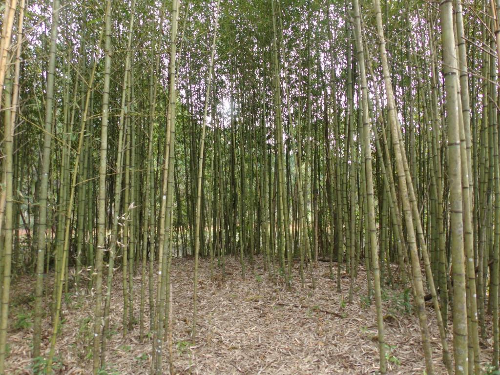 Recanto na Montanha de Gramado  Recanto na Montanha de Gramado