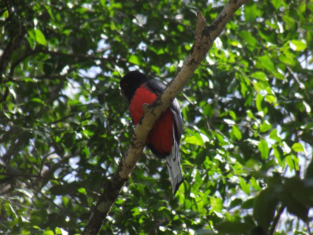 Recanto na Montanha de Gramado  Recanto na Montanha de Gramado