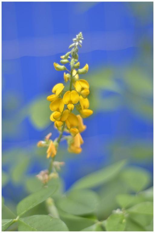  Pousada Hostel Macondo Itamambuca