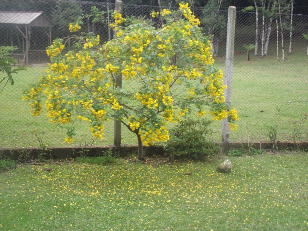 Recanto na Montanha de Gramado  Recanto na Montanha de Gramado