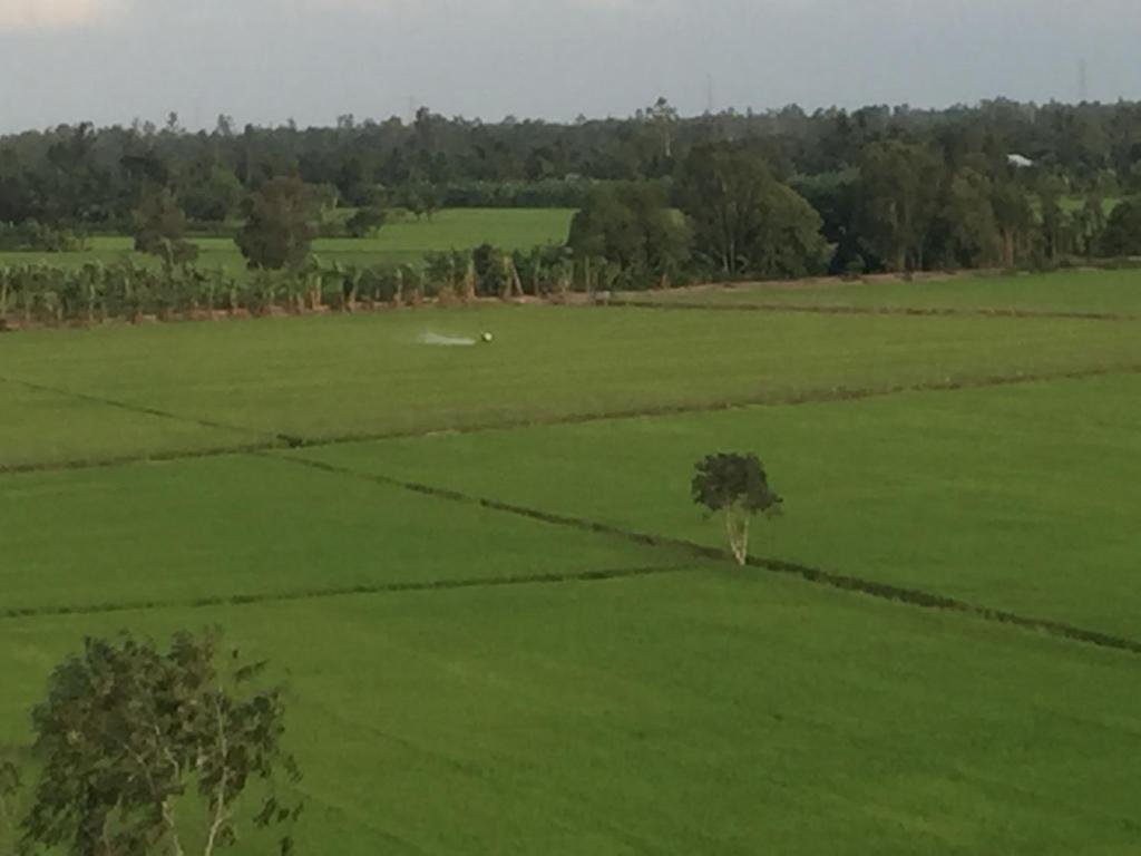 Boutique Lodge Can Tho Homestay - 18