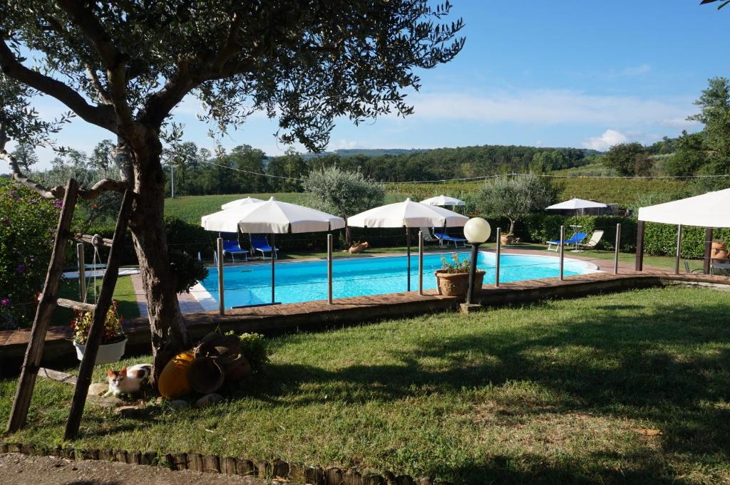 a view of a swimming pool with umbrellas at Agriturismo Consalvi Valentina in Marsciano