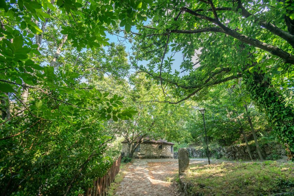 un camino en un parque con árboles y una valla en Chozos Rurales El Solitario, en Baños de Montemayor
