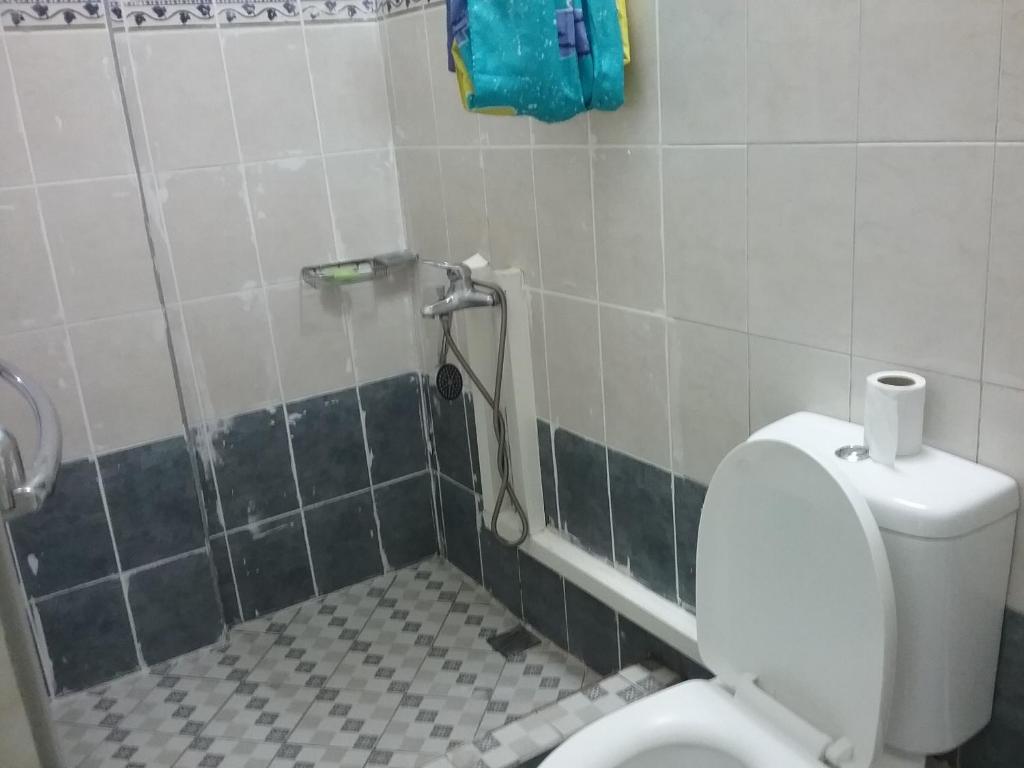a bathroom with a toilet and a shower at La Plaine Verte Guesthouse in Port Louis