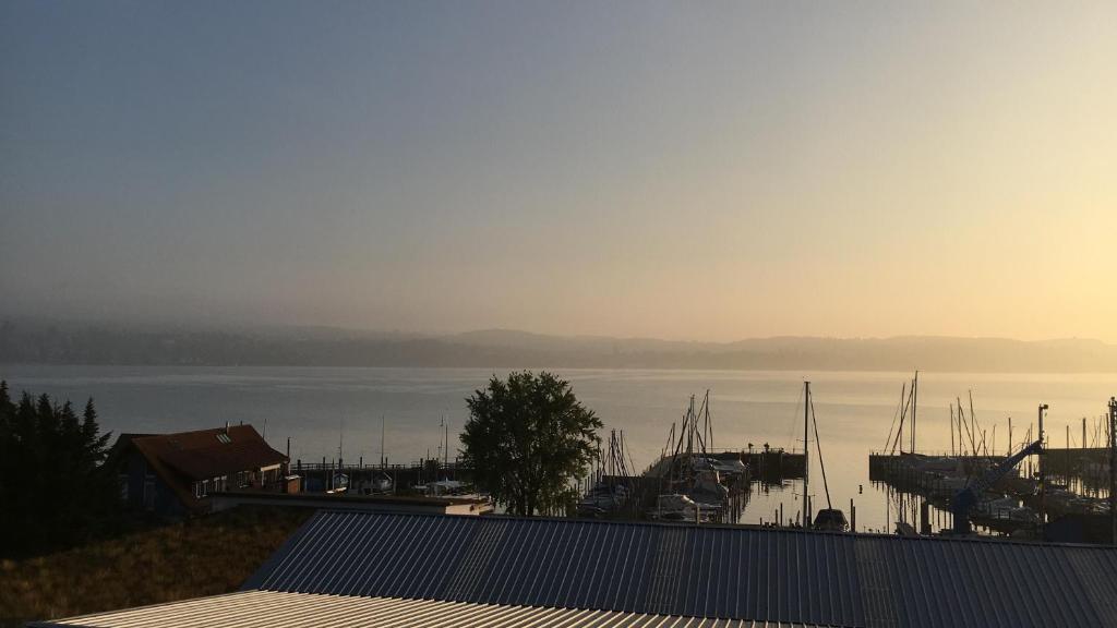 uitzicht op een jachthaven met boten in het water bij Ferienwohnung Grob "Seeblick" in Konstanz