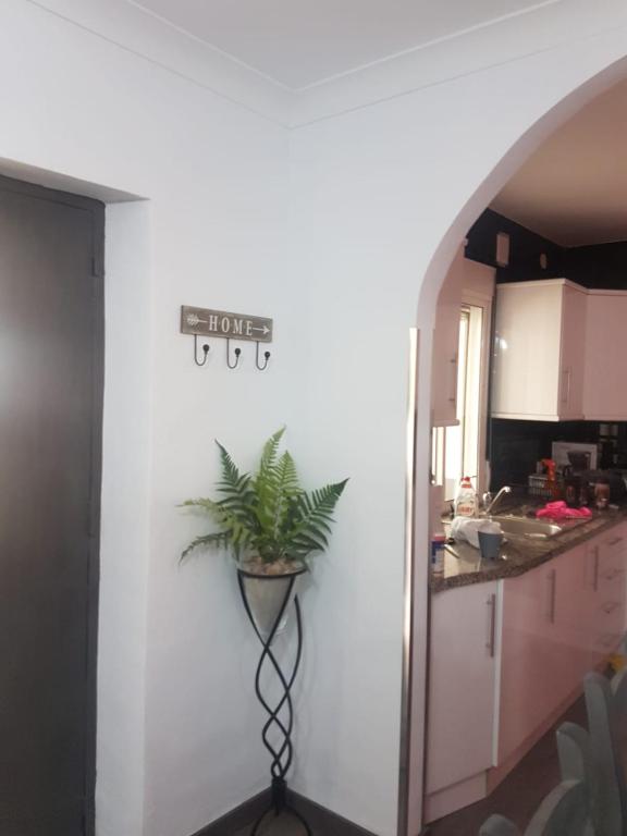 Kuchyňa alebo kuchynka v ubytovaní Casa Algill