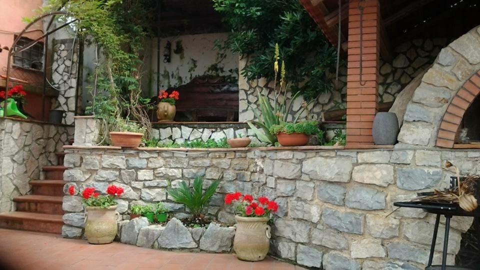A garden outside Villa Fernanda