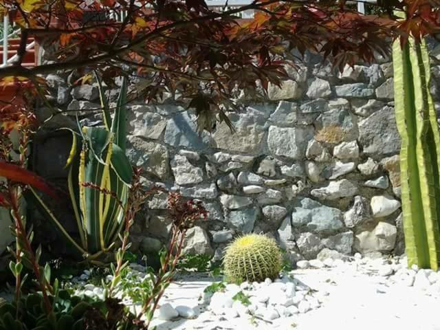 A garden outside Villa Fernanda