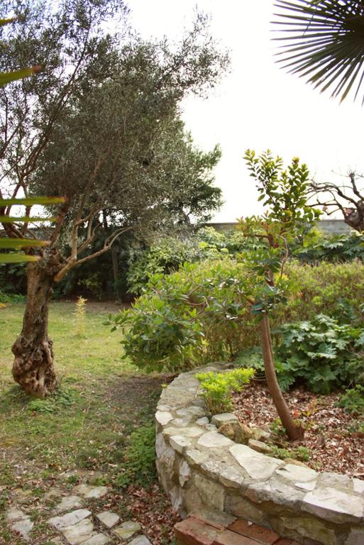 A garden outside Villa Matilde