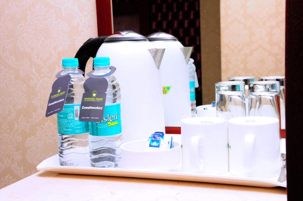 Hyders Park The Business Hotel - Deluxe Double или Twin Room