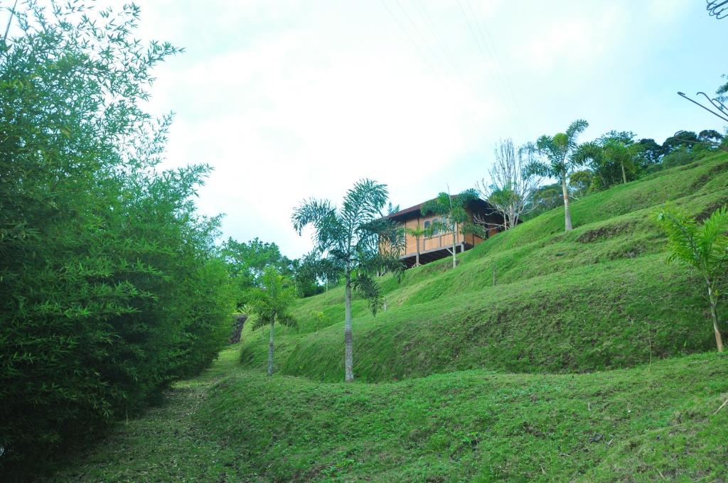 Rumah Ttorre Bungalow