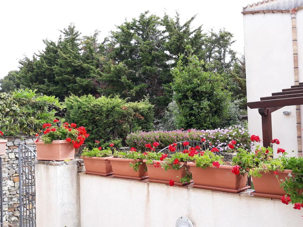 a row of flowerpots on a wall with flowers at Villino Messina in San Vito lo Capo