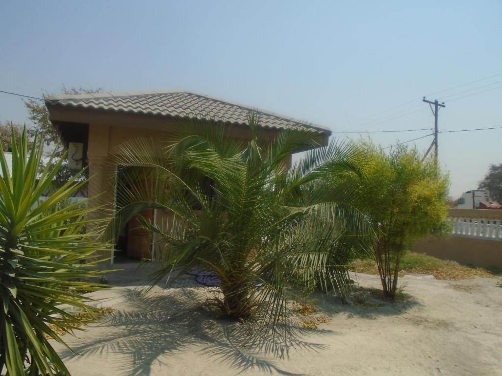 Nata的住宿－Bel Rea Guest Lodge，前面有棕榈树的房子