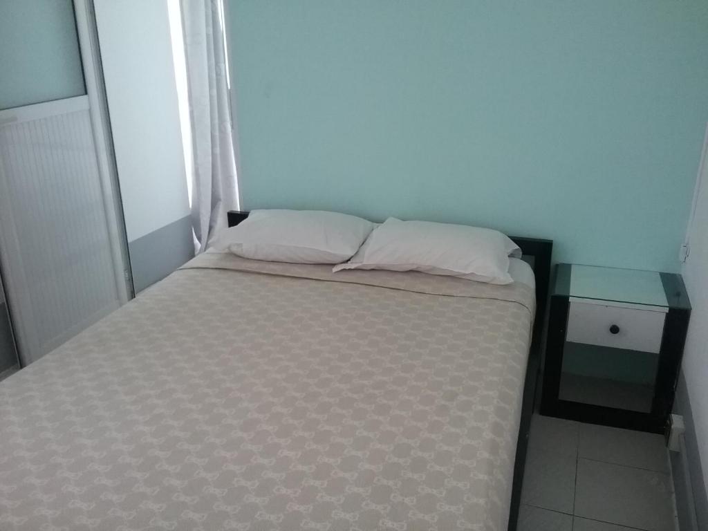 a bed with two pillows on it in a room at La Plaine Verte Guesthouse in Port Louis