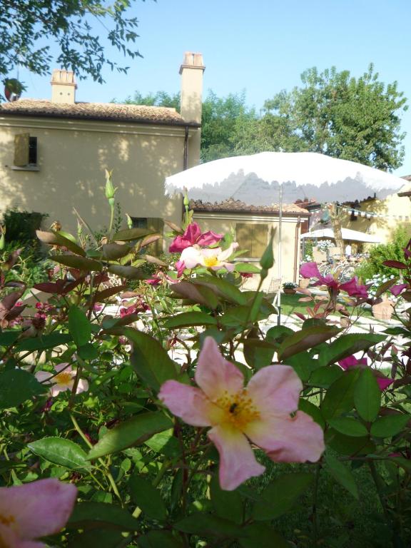 Zahrada ubytování Casina Le Conserve