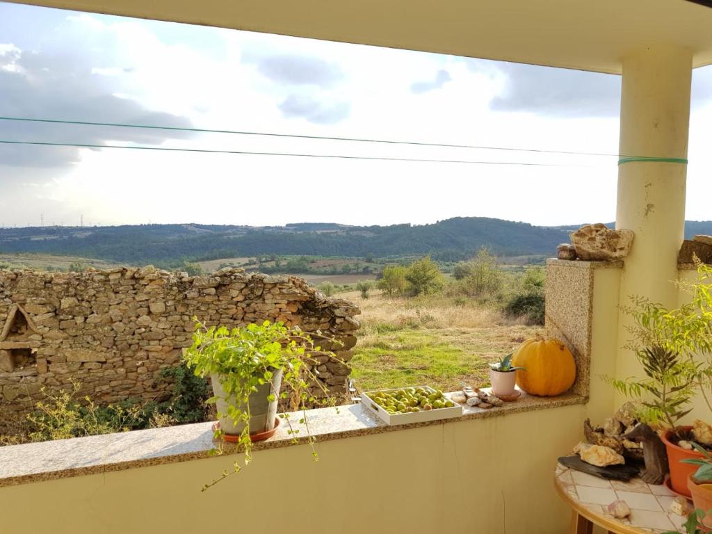 Aussicht vom Balkon eines Hauses in der Unterkunft Retiro Terrasol in Tó