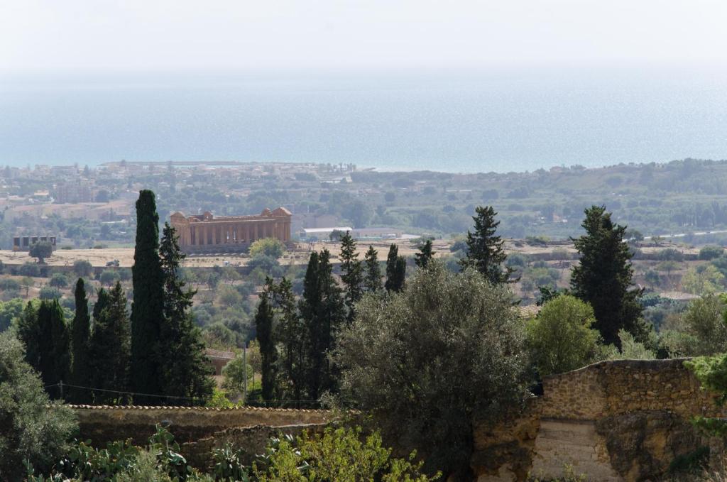 a group of trees and a building in the distance at Panoramica dei Templi B&B in Agrigento