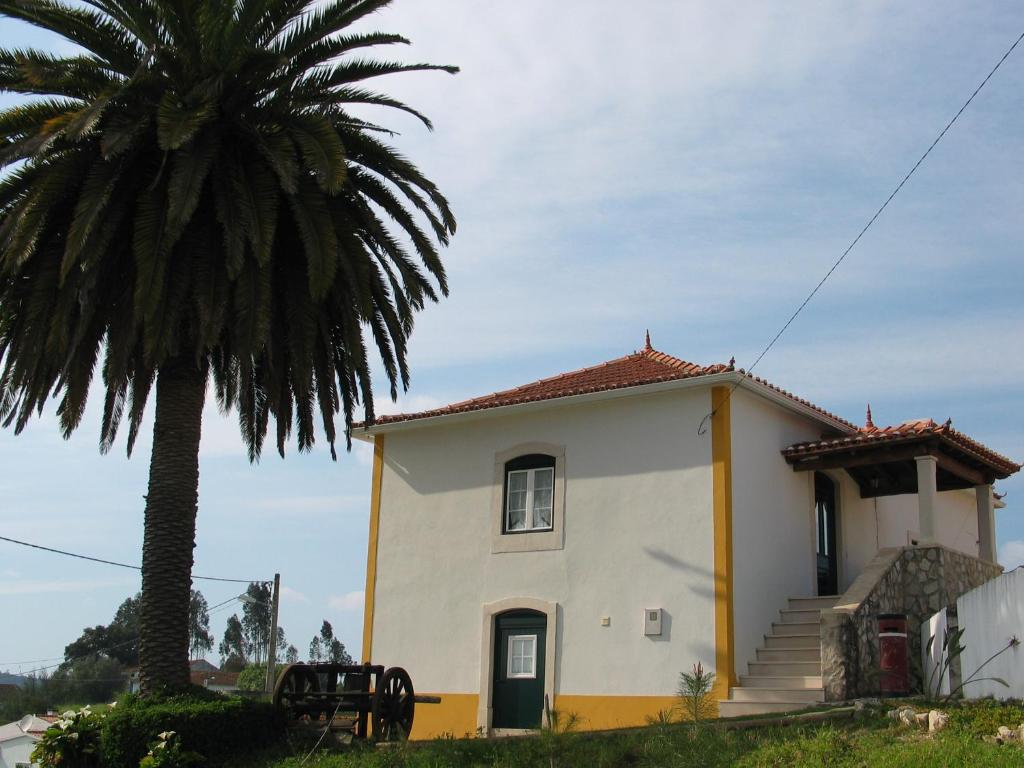 a small white house with a palm tree at Casa da Palmeira in Outeiro da Cortiçada