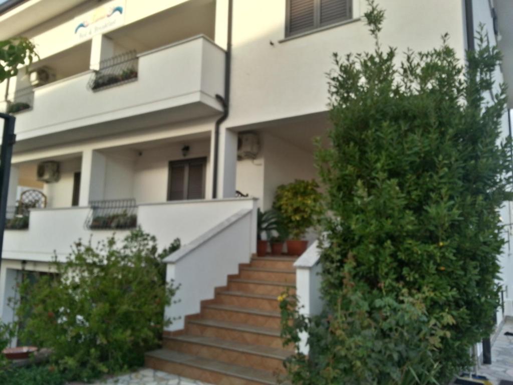 una casa con escaleras y plantas delante de ella en Zama Bed&Breakfast, en Scalea