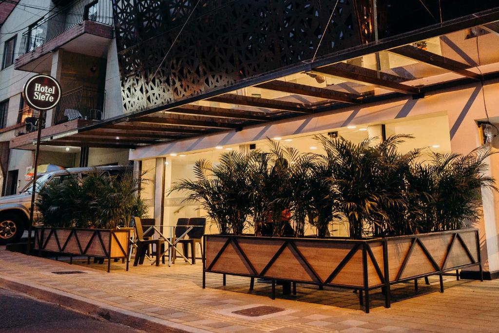 um grupo de vasos de plantas sentados fora de um edifício em Hotel Sie7e em Medellín
