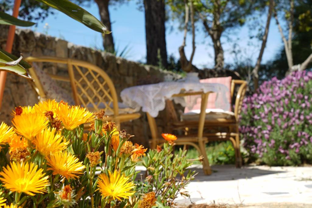 Zahrada ubytování Masseria Le Terrazze di Serranova