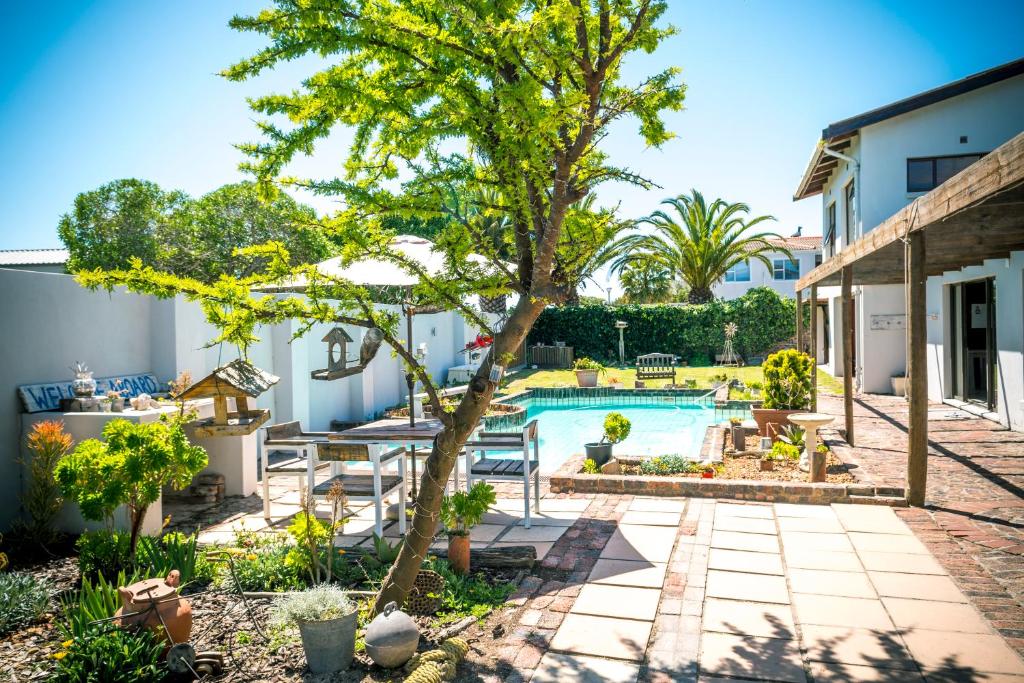 a patio with a tree and a swimming pool at Langebaan-On-Sea in Langebaan