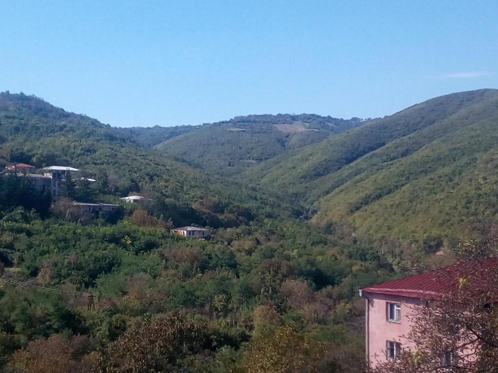 Vista general d'una muntanya o vistes d'una muntanya des de l'hostal o pensió