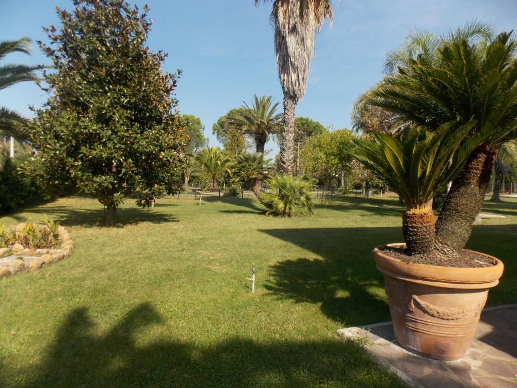Zahrada ubytování Hotel Villa dei Butteri - Aprilia