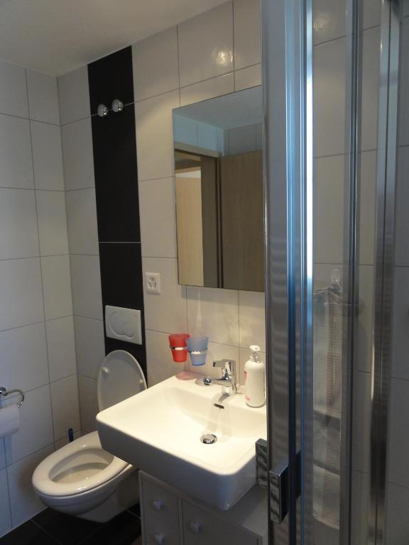 Koupelna v ubytování Chalet Schönbühl