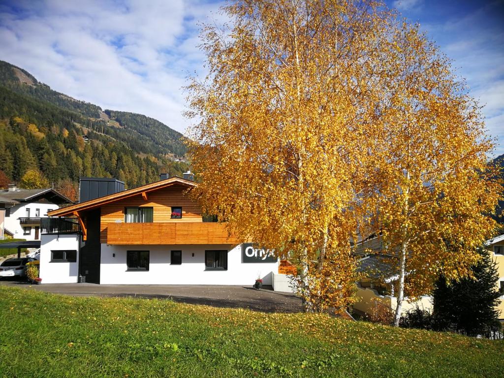 Appartements Onyx - 18