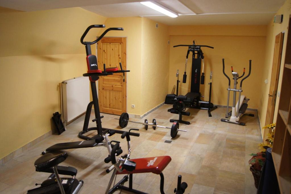 Spordikeskus ja/või sportimisvõimalused majutusasutuses Hotel "Drei Rosen" OHG Regina & Hans - Peter Faßbinder