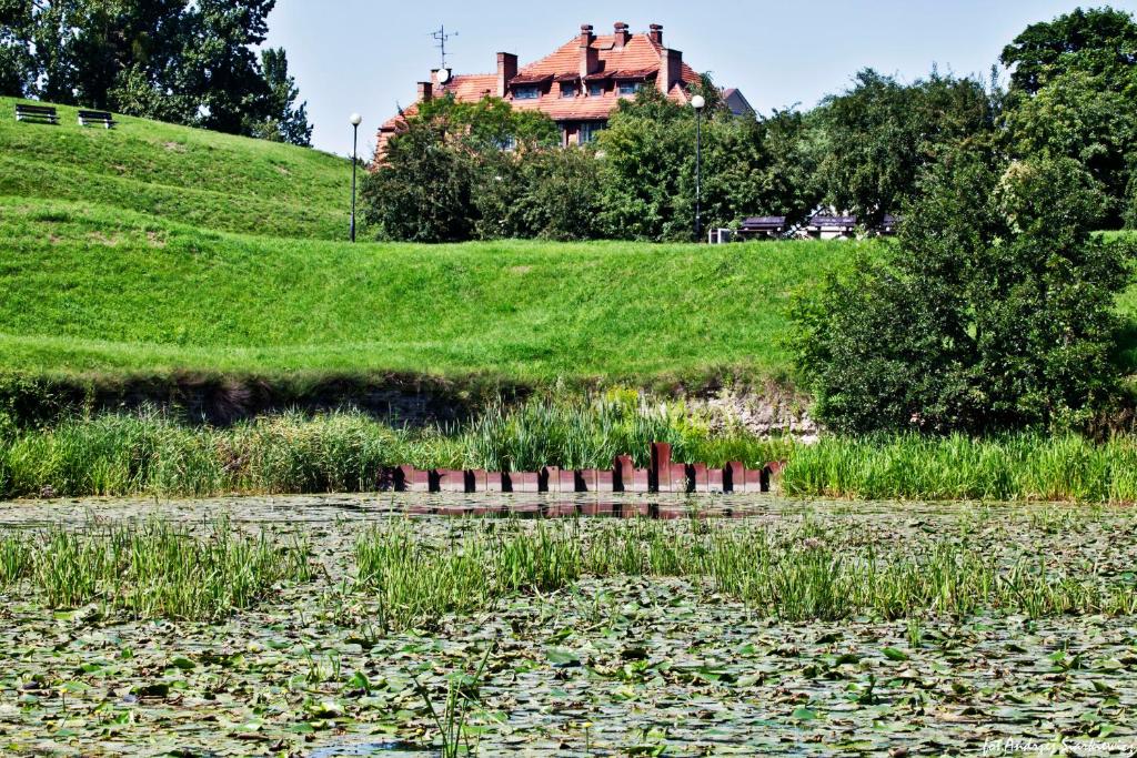 Příroda nedaleko hostelu