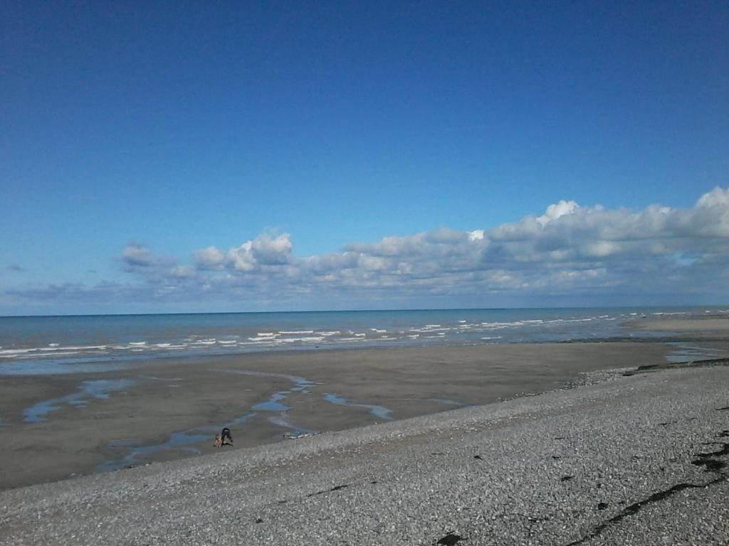 un perro caminando en una playa cerca del agua en Chemin des Forrières en Saint-Aubin-sur-Mer