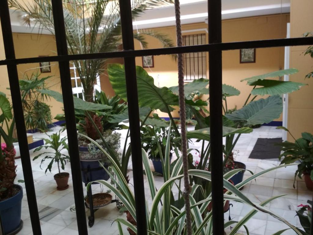 una habitación llena de muchas plantas en Two Bedrooms Leonor Davalos 2, en Sevilla