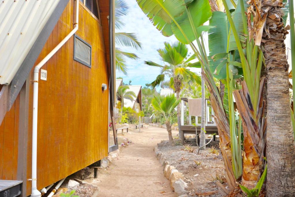 Zahrada ubytování Nomads Magnetic Island