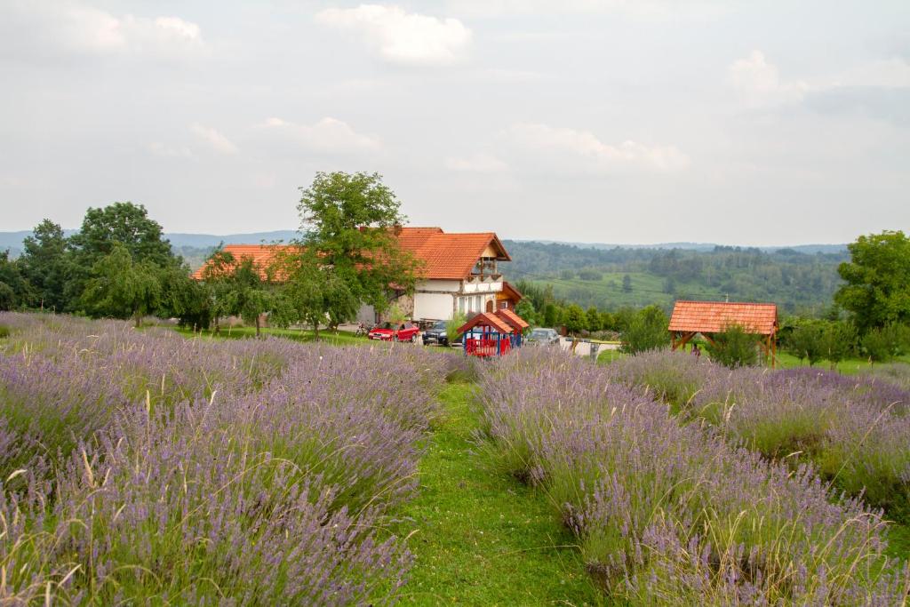 Lavanda farm apartmani - 10
