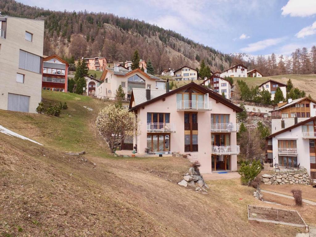Příroda nedaleko apartmánu