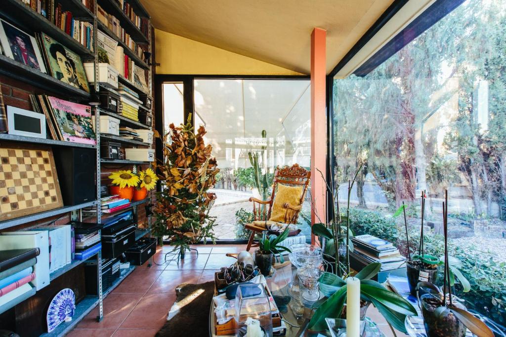 a room with a large window and a table with plants at Mi Refugio in Alicante