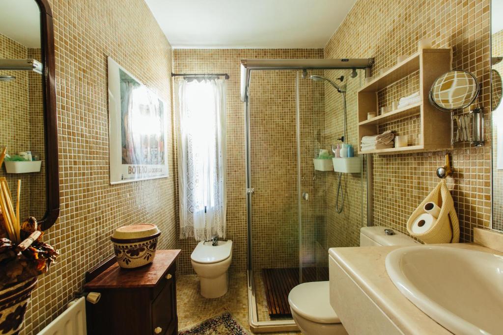a bathroom with a shower and a toilet and a sink at Mi Refugio in Alicante